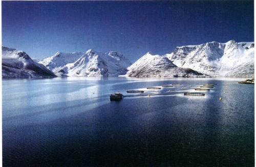 挪威的海洋纯音乐,挪威的海湾上帝的眼泪