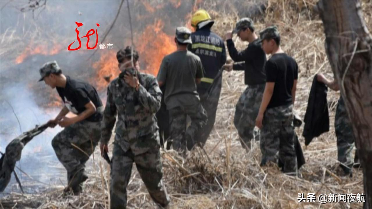 哈尔滨广厦学院民兵连拉练途中遇火灾，春季蔓延迅速勿让悲剧重演