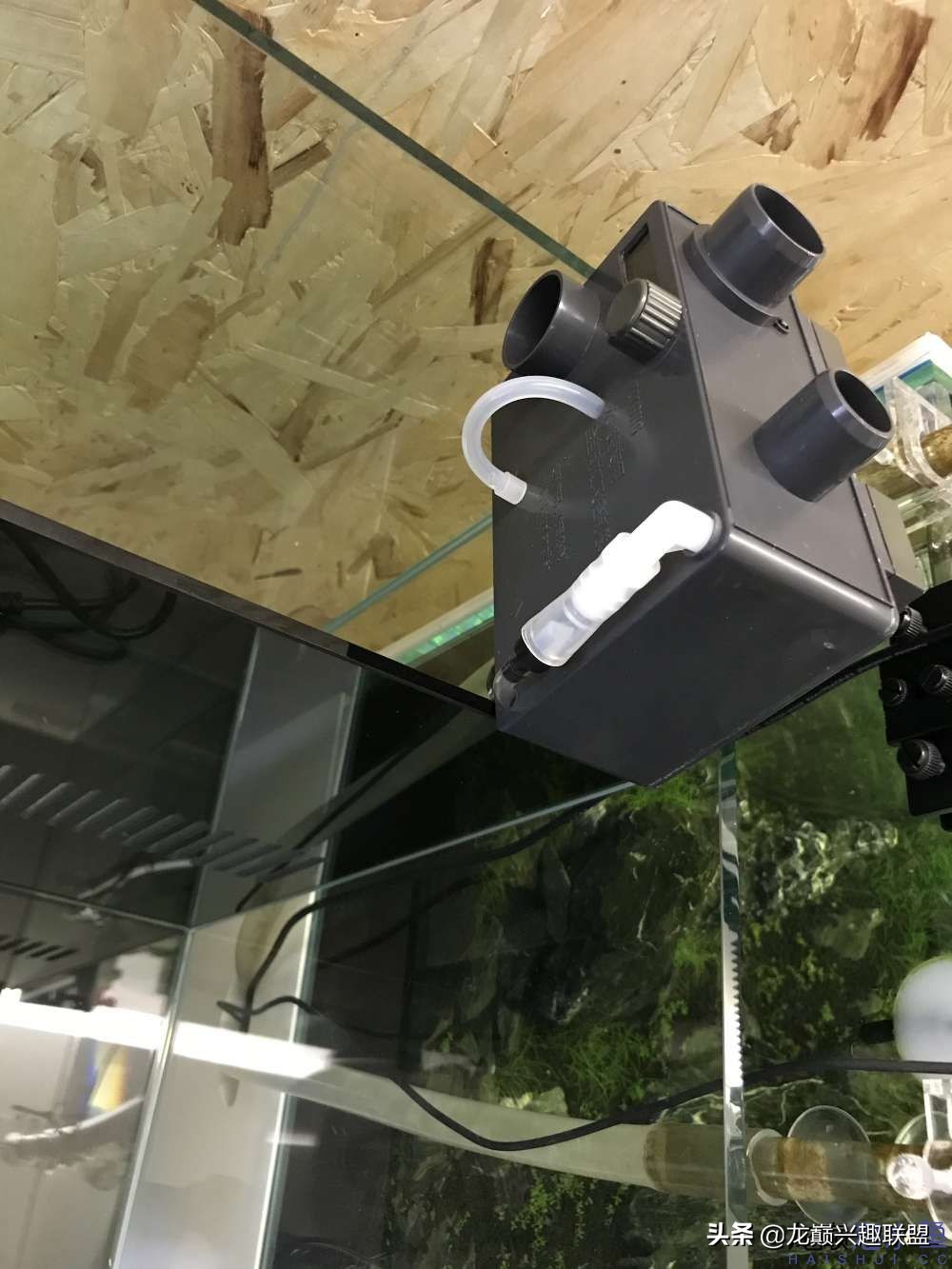 从零开始玩海缸的方法,从零开始玩海缸全过程