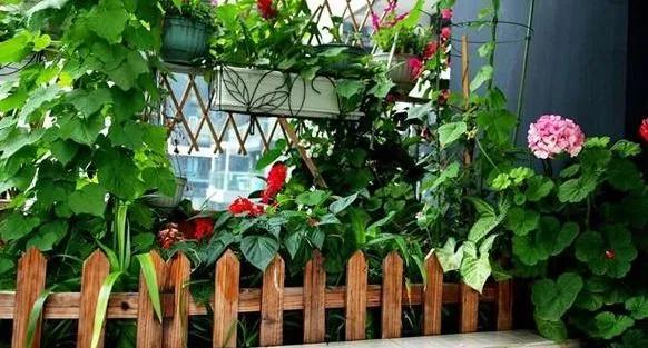 涓喍浜戝鐙爧,涓喍浜戠瓚鍒