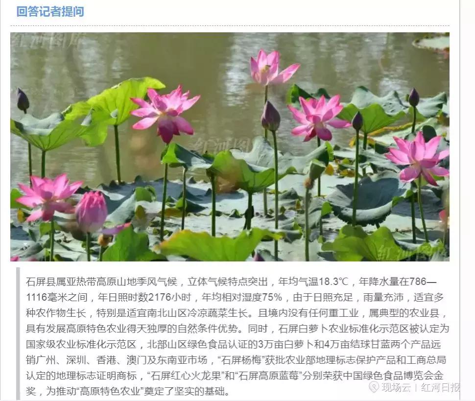 苦干实干出业绩,苦干实干的结果