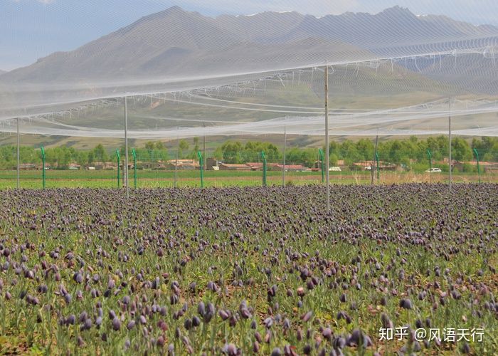 当老字号遇见新需求,京都念慈庵的品牌定位