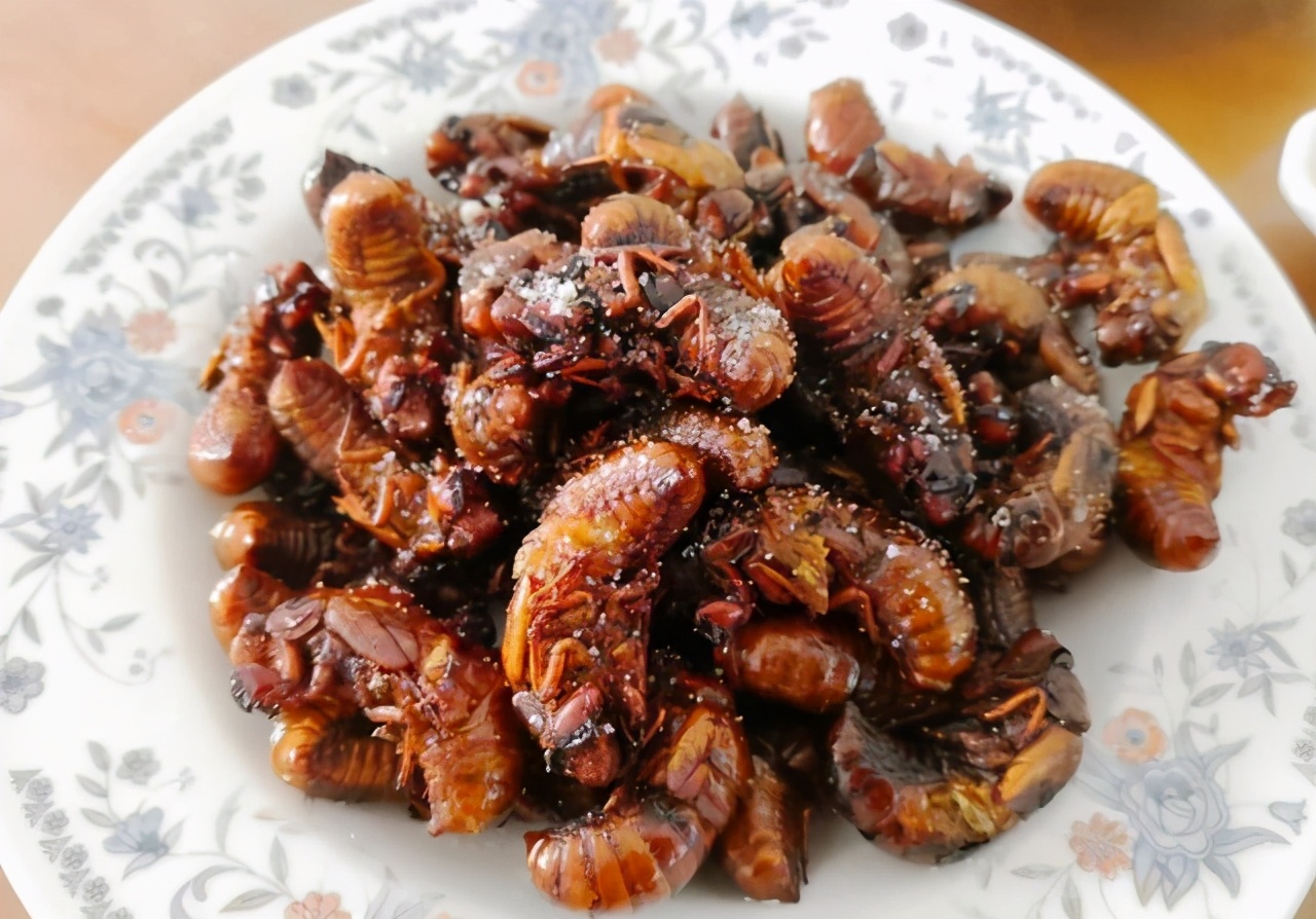 知了猴吃多了对身体有坏处吗,吃知了猴对身体好不好