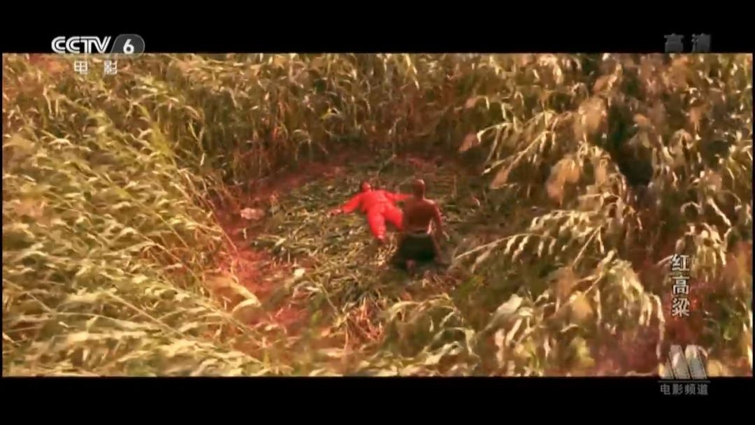 张艺谋的艺术成就,终身成就艺术家张艺谋