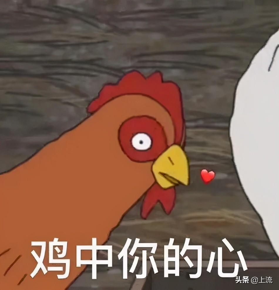 这个辣鸡，才是浙江人心里yyds