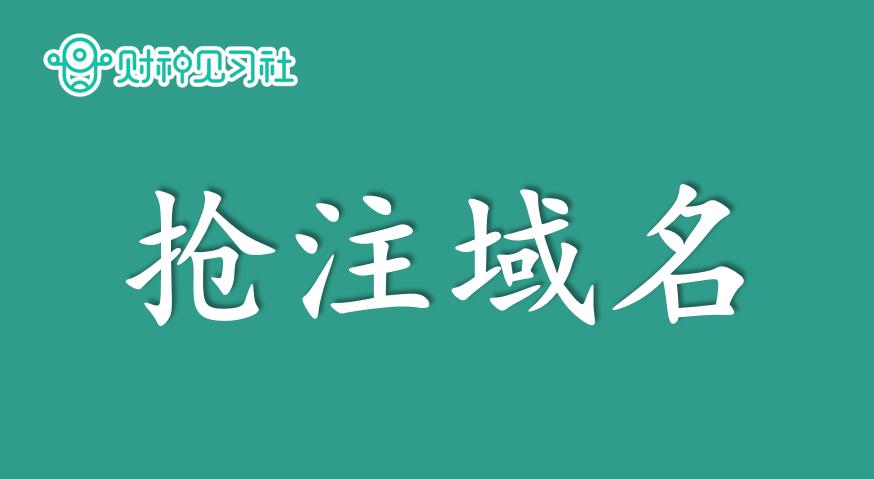 适合普通人兼职副业赚钱的100个项目（46）：天价域名抢注