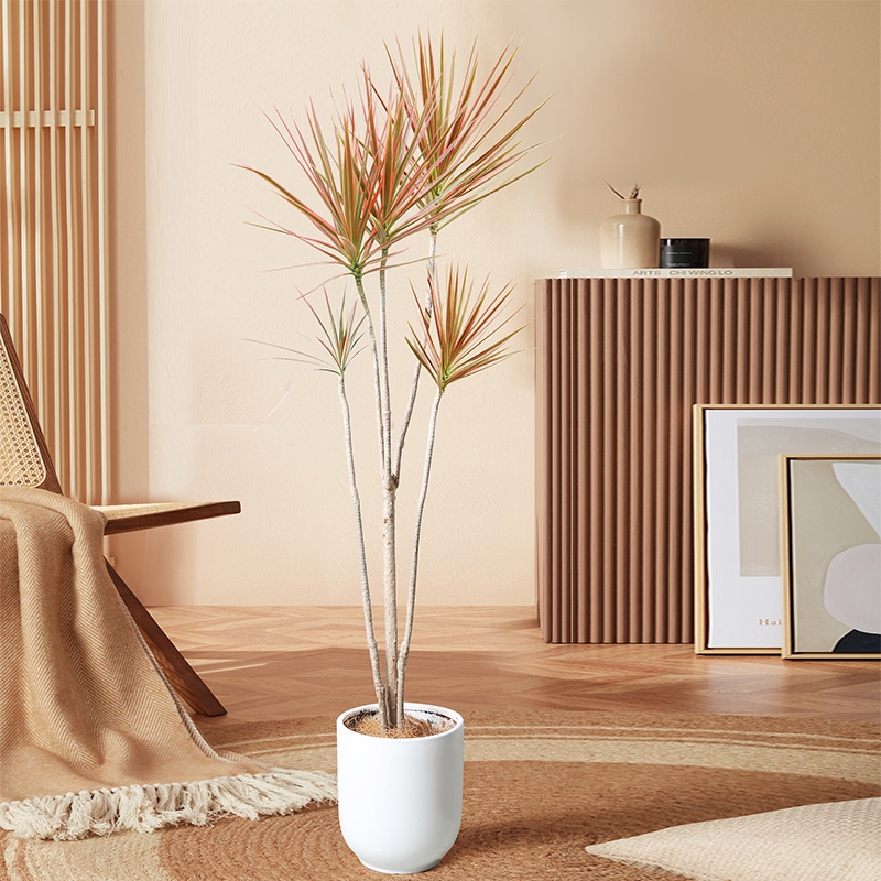 人养花一时养人一生,人养花同时花也养人