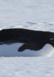 这一定是个好姑娘,新郎你有福了,羡慕啊羡慕