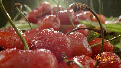 据说水果涨价,跟这剧的大火有点关系