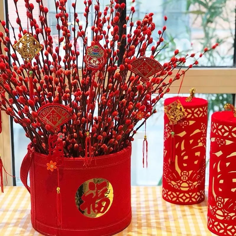 什么花喜庆又好养又好看,家养最旺财的十种花推荐