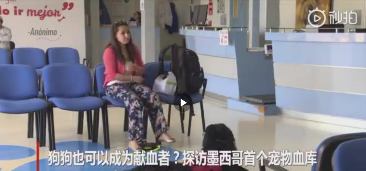 血槽已空下一句,血槽已空