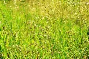 一段美好感情,一段美好的情感