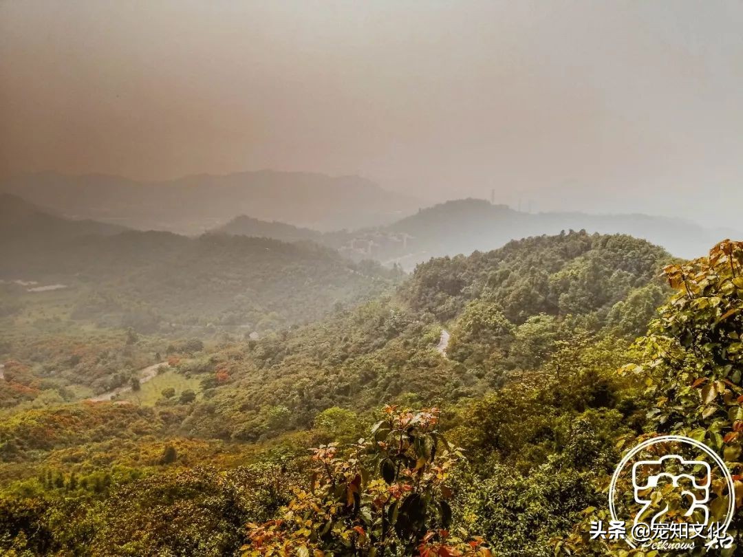 广州南沙黄山鲁森林公园攻略,广州黄山鲁森林公园好玩吗