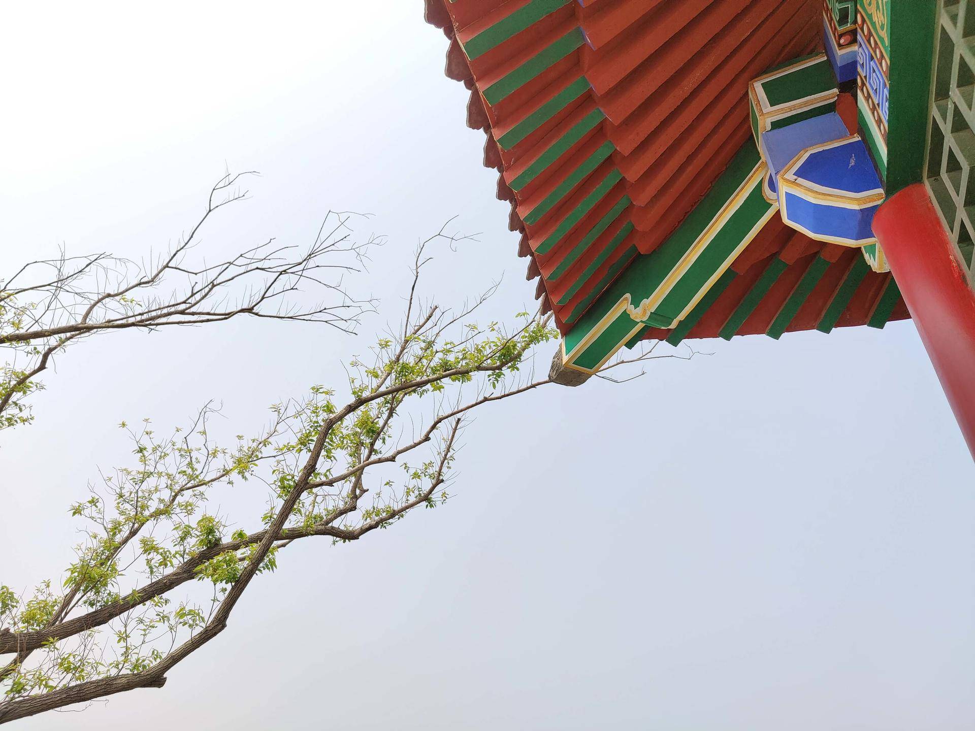 oneplus8pro2024还值得买吗,oneplus8pro测评