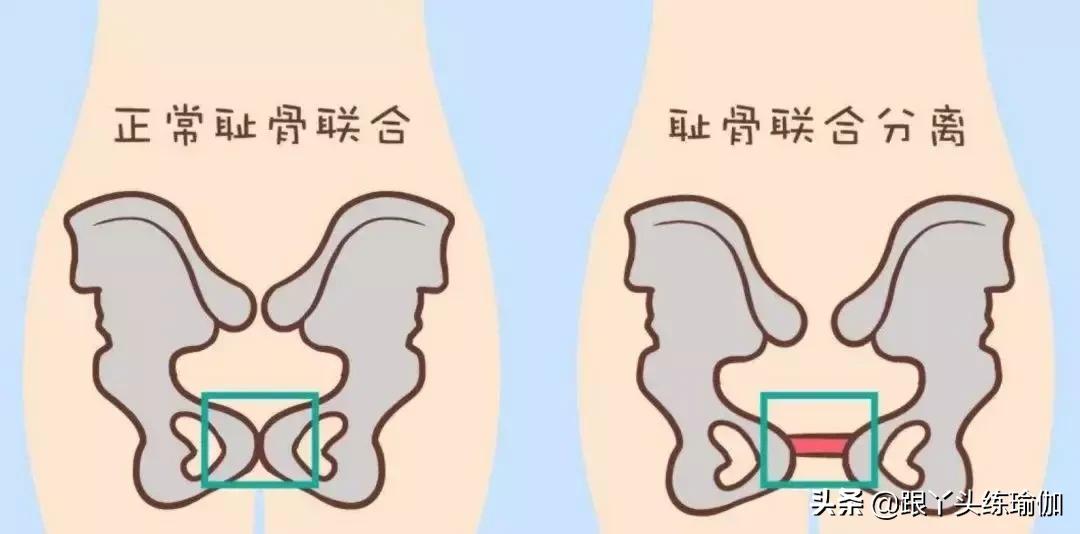 孕妇瑜伽每天必练8个动作图片,孕期瑜伽10个经典动作加图片