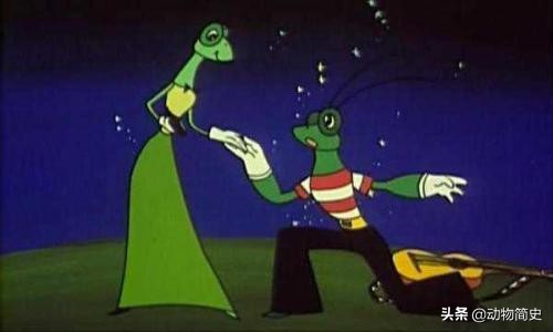 武术功夫螳螂视频,武术当中有没有螳螂拳