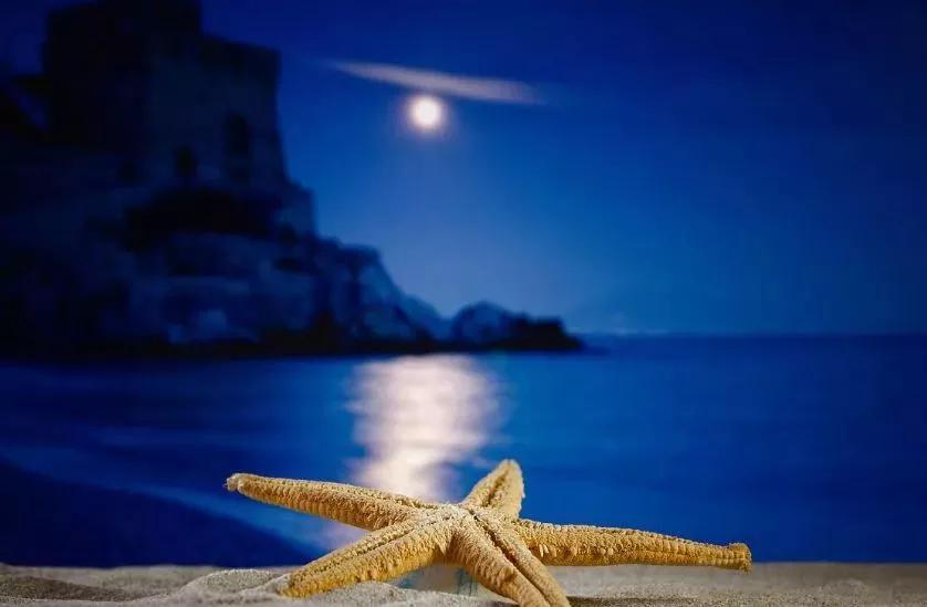 桔钓沙海滩游玩项目,桔钓沙旅游区