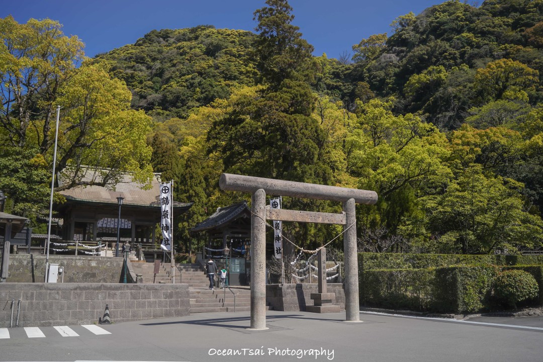 日本游轮游避坑,日本邮轮八天七夜具体行程