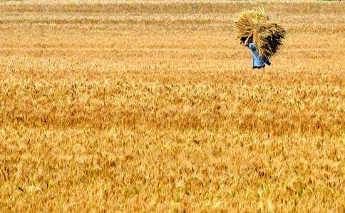 大胃王的胃真的很大吗？呕吐的过程是怎样的，干嘛难为自己呢？
