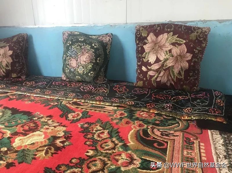 如何正确的品味一首歌,如何品味咖啡更美味