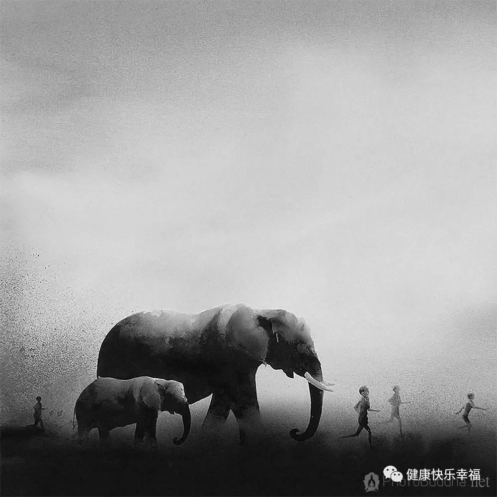 把握人生的真谛的句子,不抱怨把握人生分寸感