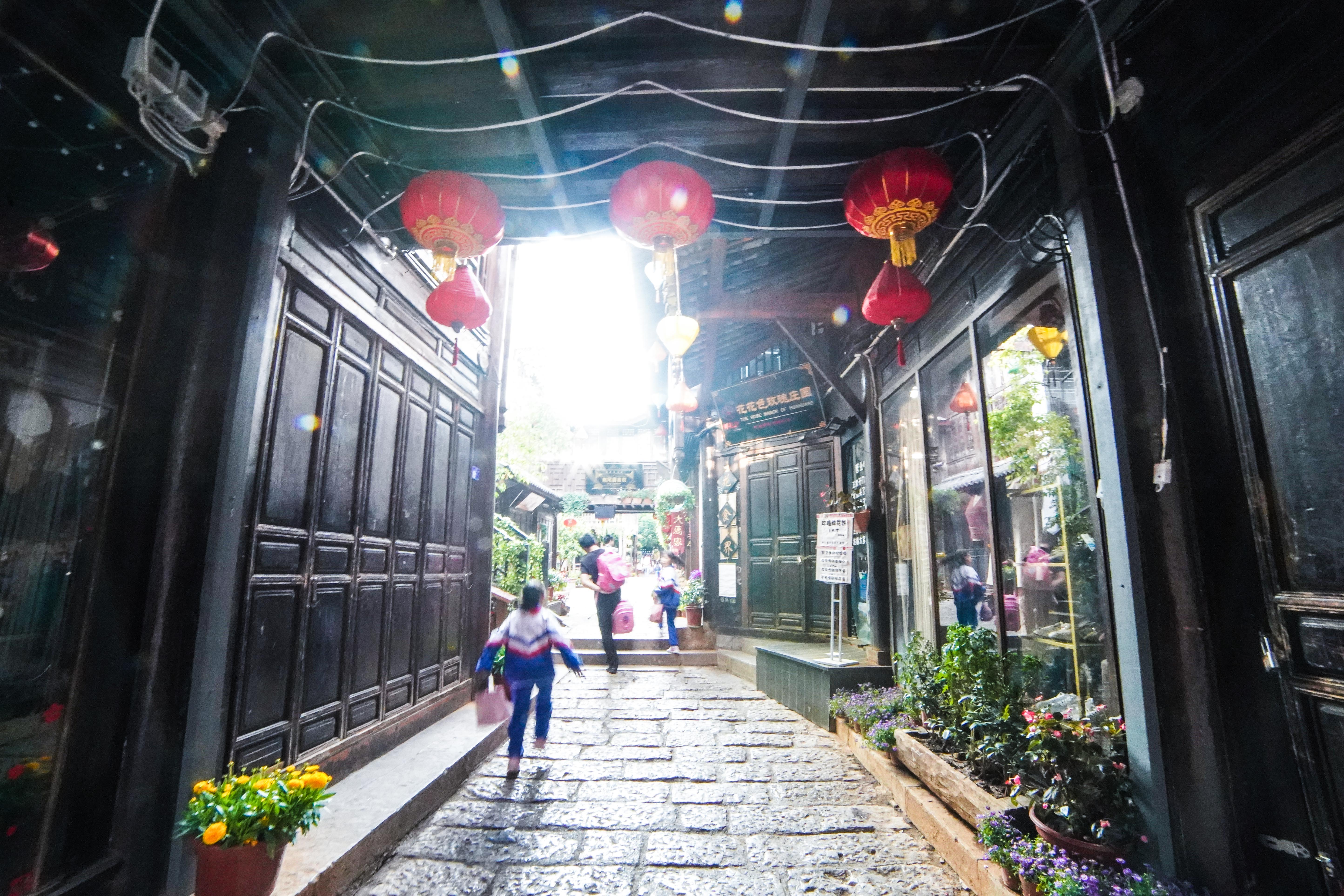 丽江，请给我一天时光，穿越千年纳西，寻迹万里马帮