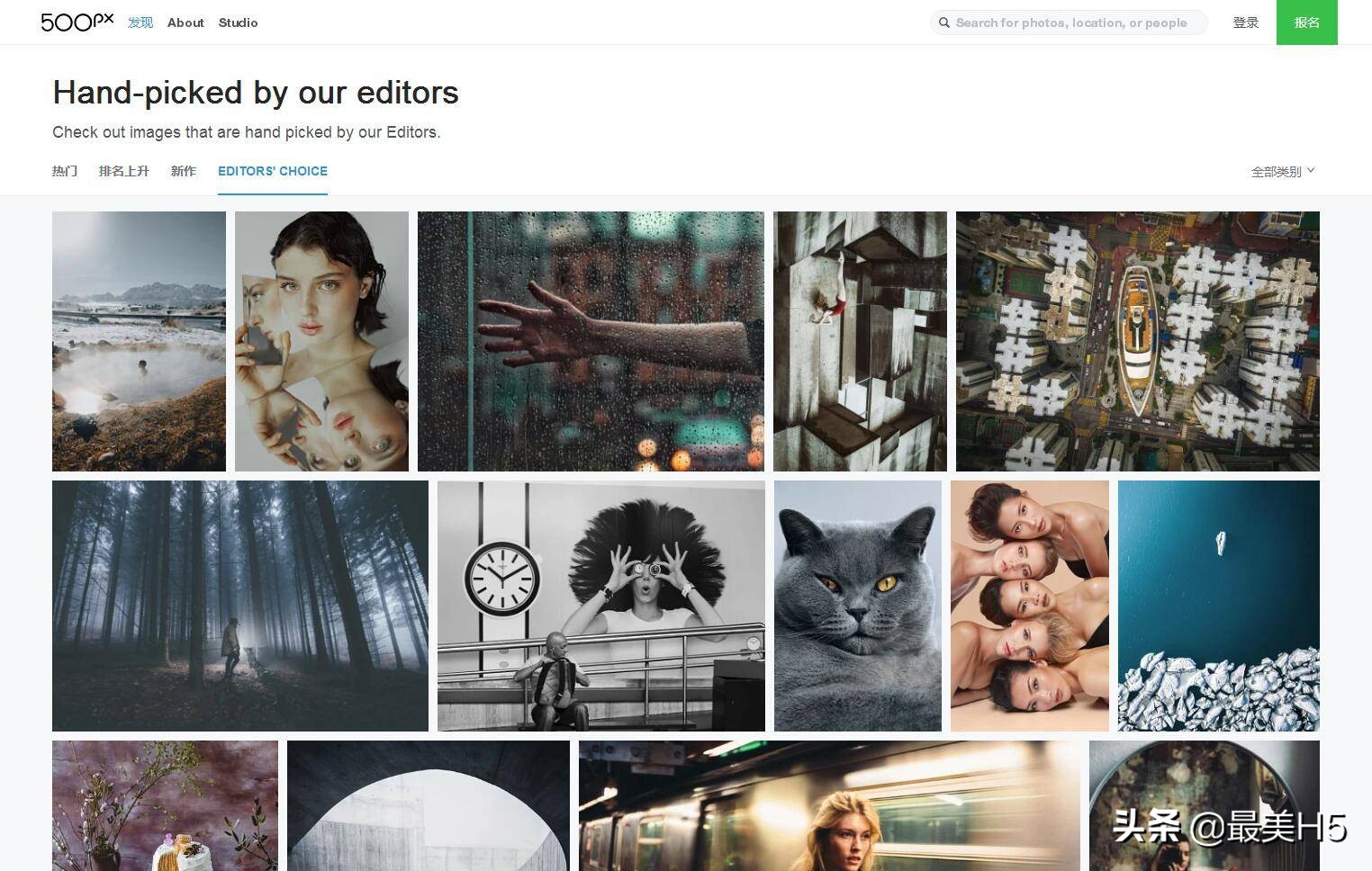 花瓣不在的日子,有哪些网站可以相伴