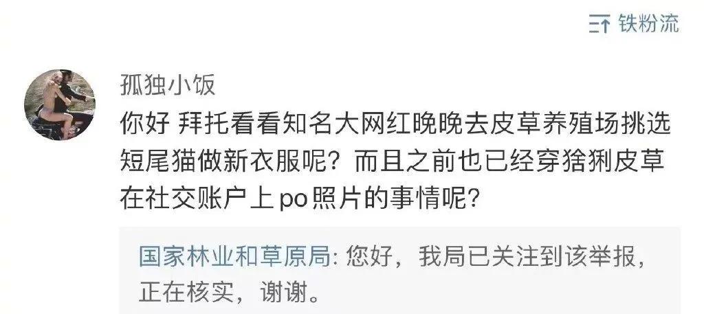 范冰冰算犯罪吗,范冰冰算不算劣迹艺人