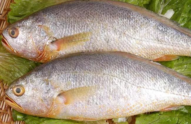 一家4口中毒的视频,一家4口全部送医抢救