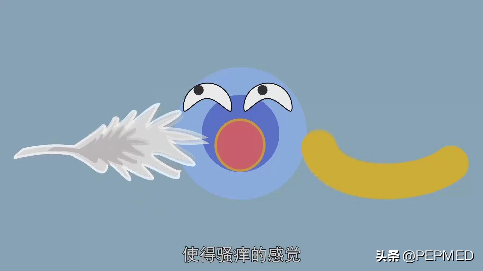 小腿奇痒一挠就破越挠越痒怎么治,皮肤痒一挠就发红怎么回事