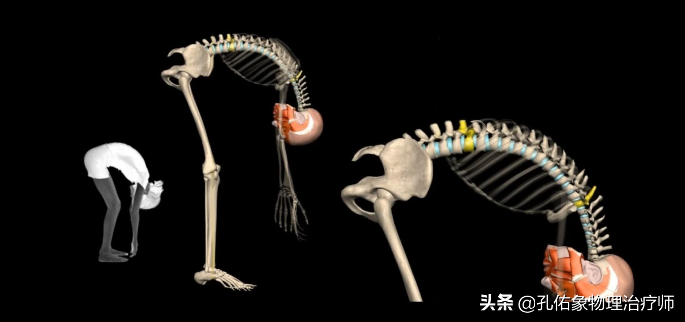 48的女人腰背部疼痛是咋回事,腰背部受凉引起疼痛的可能原因