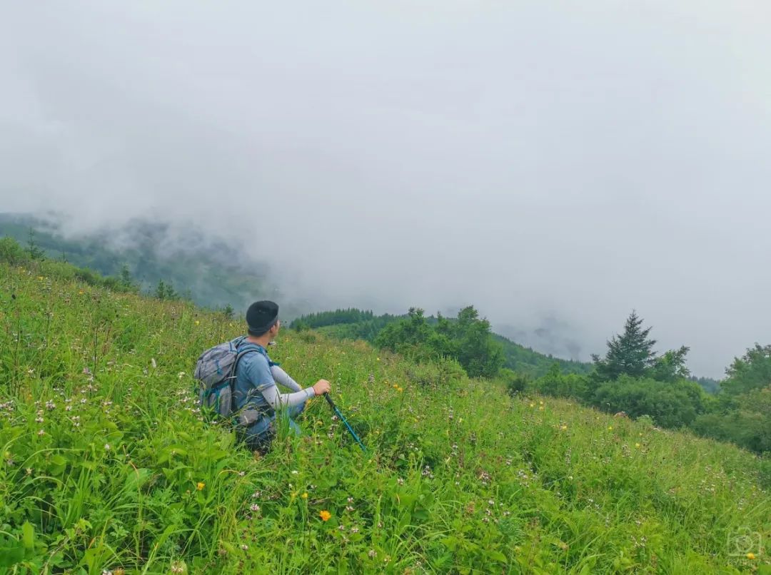 徒步穿越北驼梁完整版,穿越花海古道游记