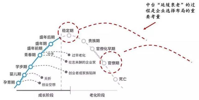 tp-link的发展史,tp-link发展前景