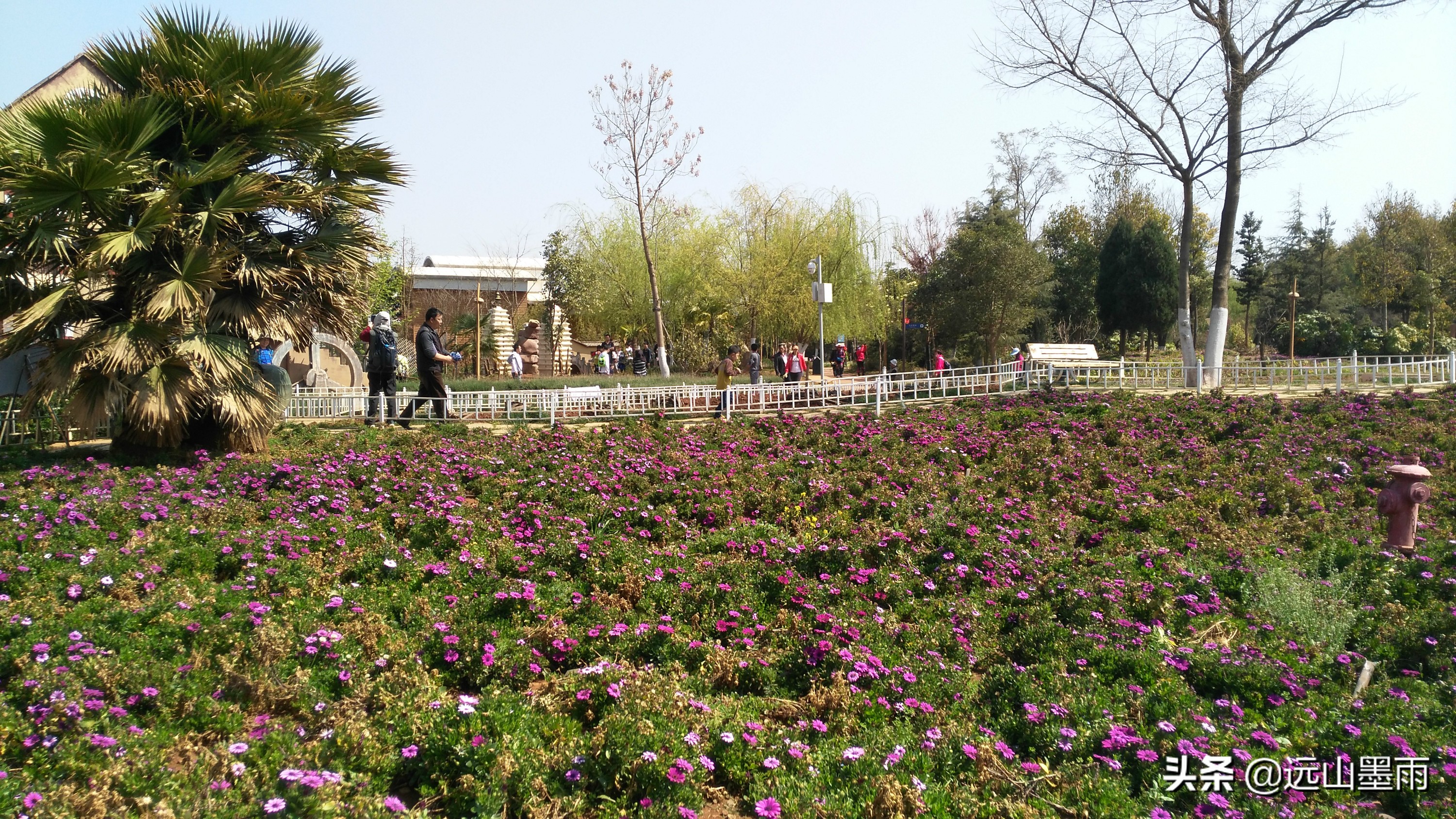 昆明呈贡适合拍婚纱的湿地公园,昆明大渔婚纱主题公园