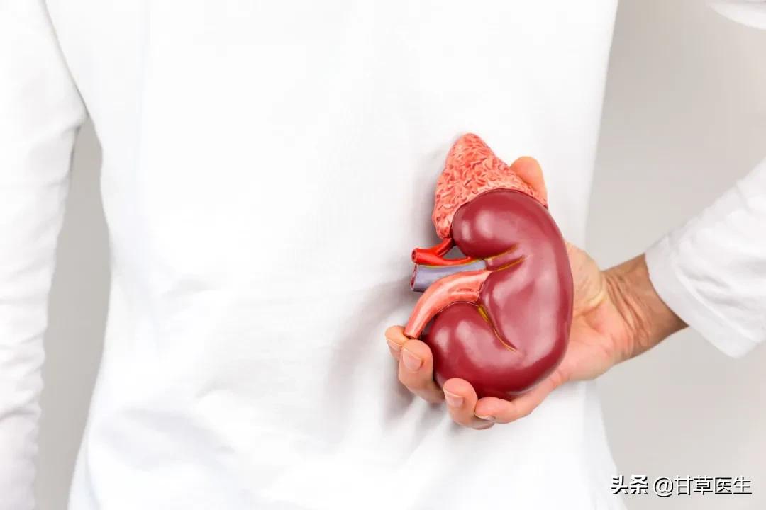 肾虚如何护肾,补气虚肾虚广东冬季靓汤