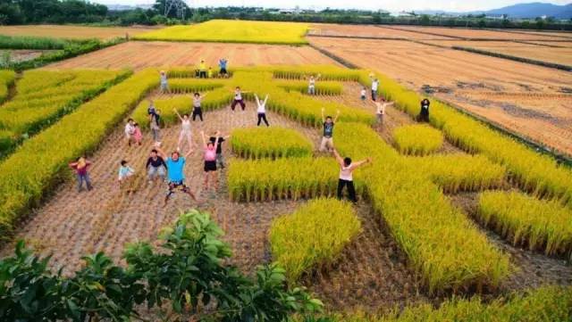 什么是“软乡村”、“酷农业”？