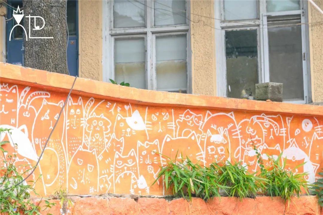 宫崎骏涂鸦墙青岛,青岛宫崎骏漫画网红墙