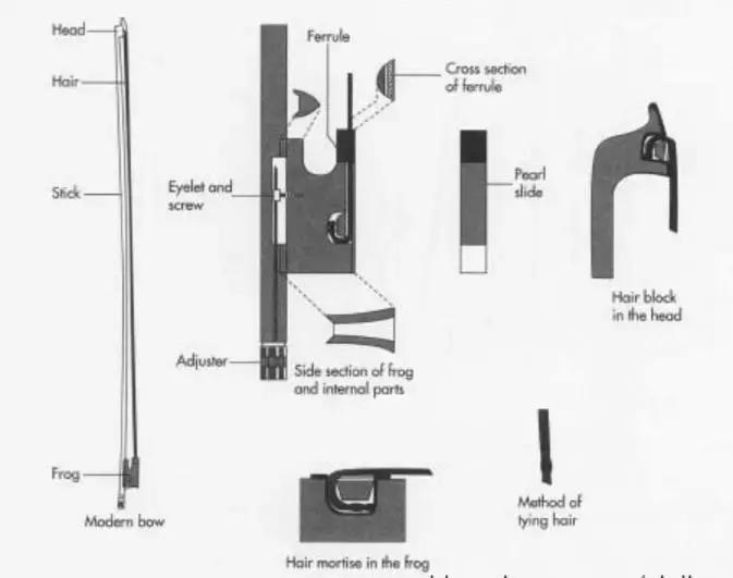 小提琴回顾,小提琴的基本介绍