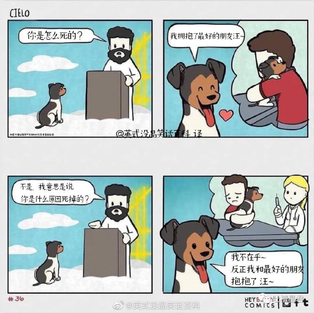 假胸、假腰、假屁股，还有什么是真的？网友：再也不相信女人了