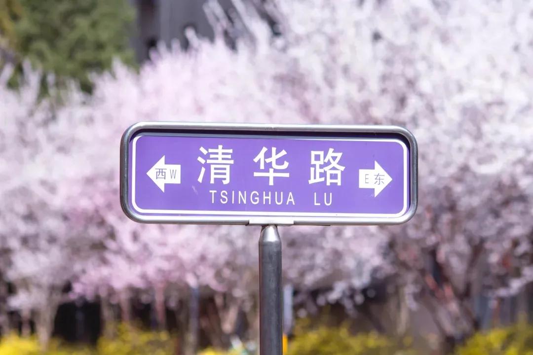 九大美院校园风景,中国九大美院校园风采