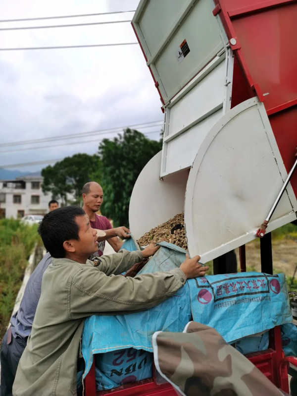 科技助力大棚农民致富,科技助农柑橘丰收