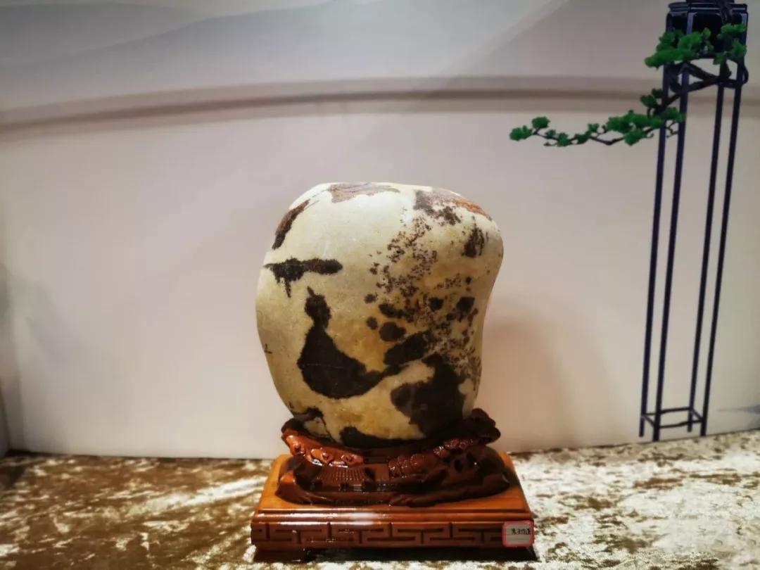 赏奇石,赏玩奇石是最大的乐趣