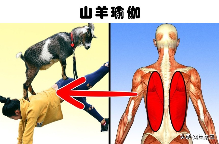 十项不太为人所知的体育运动,最容易上手的体育运动