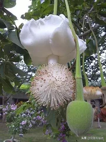 六一相册影集,六一照片专场