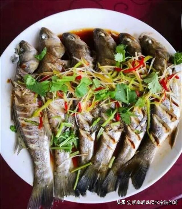 您的小资生活只差来到辽宁东戴河千玺度假庄园，体验乡村之美！