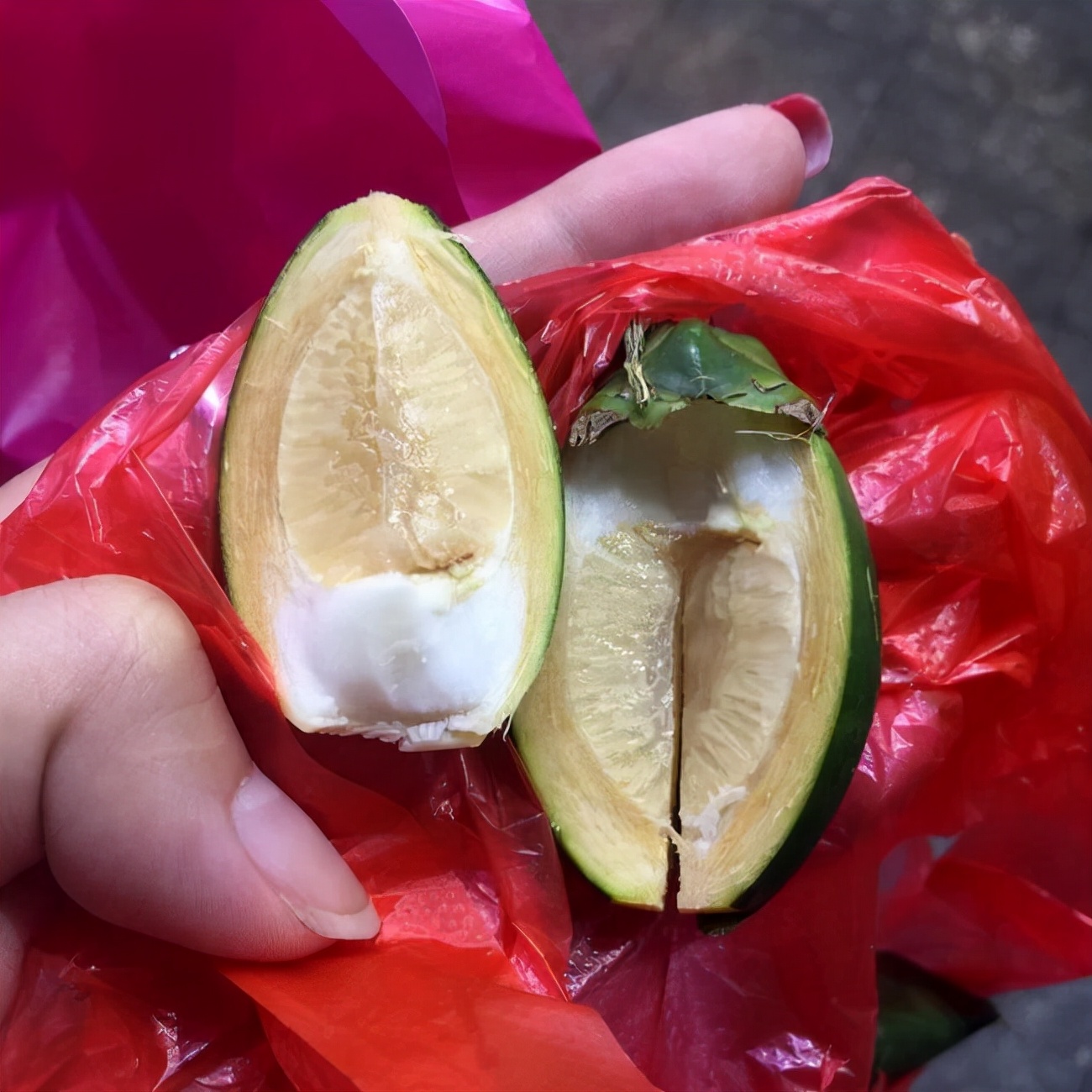 恶魔的果实槟榔科普,恶魔果实槟榔