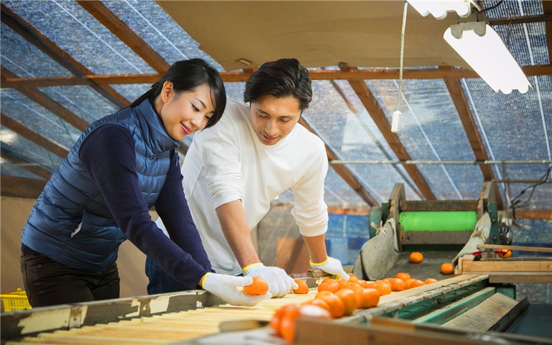 现在投资什么小工厂可以赚钱,开个不愁销路的小厂有什么项目