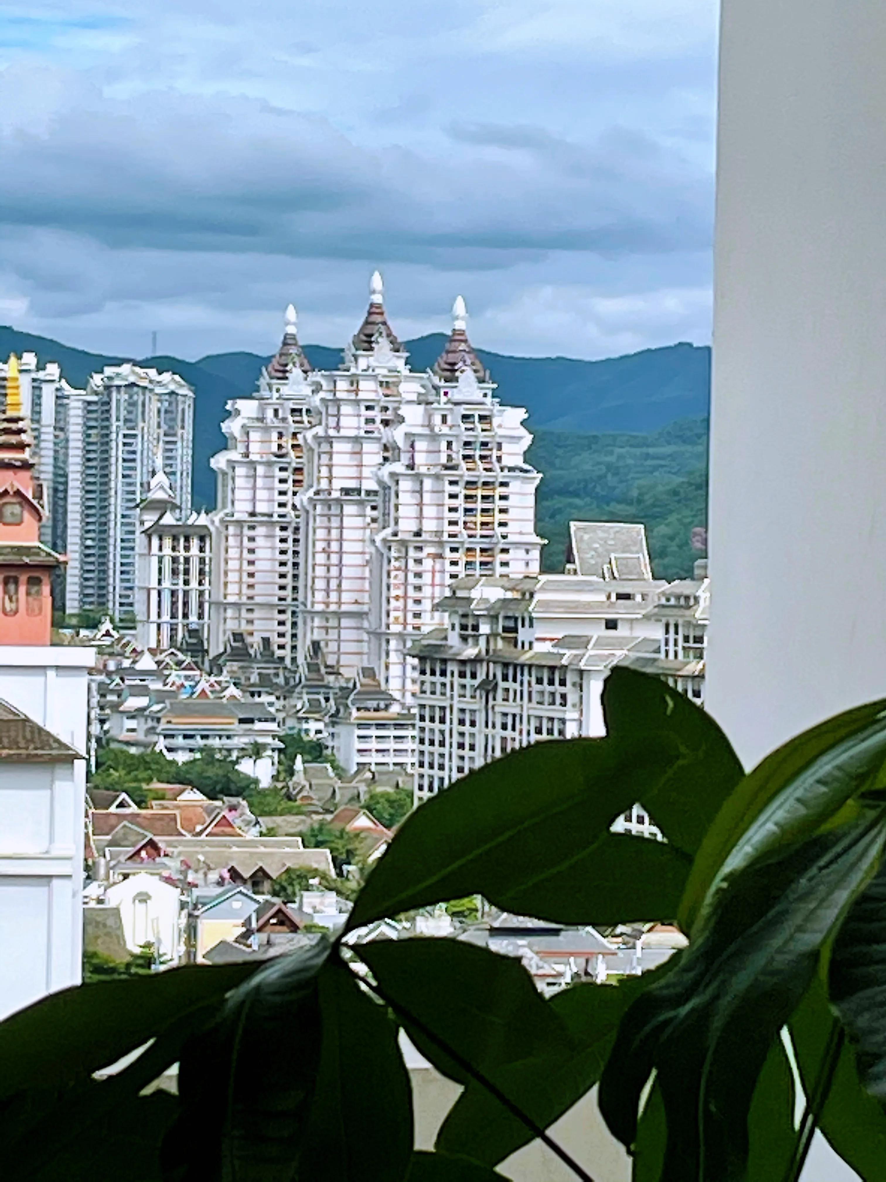 壁虎救壁虎,壁虎和壁虎