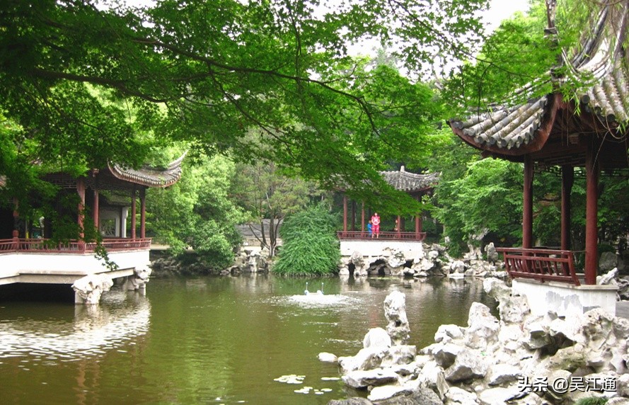 你可曾听说过向阳花小学？那可是当时的网红哦！