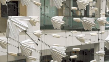 美得足以让人忘记时间流逝,美得让人静止的瞬间